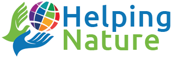 Website Logo